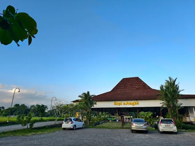 Kopi Njongke Mlati Sleman dengan suasana asri dan pemandangan sawah.