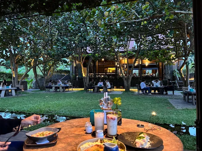 Area outdoor Trilogi Coffee dengan pemandangan sawah dan taman hijau